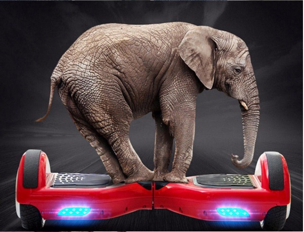 HOVER BOARD 